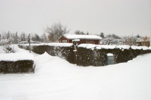 Vinter