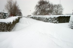 Vinter