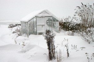 Vinter