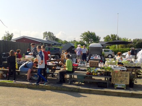 Plantemarked 2016