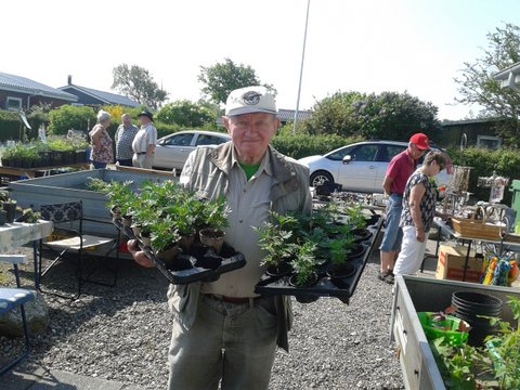 Plantemarked 2016